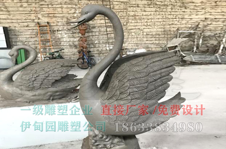 天鹅.jpg