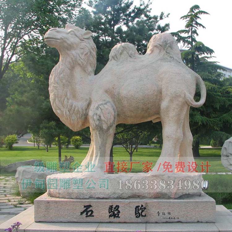 7b208c77cc.jpg
