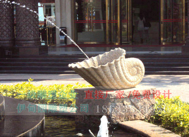 海螺 (2).jpg